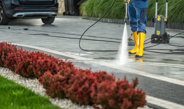 Best Roof Power Washing Services  in Lyles, TN